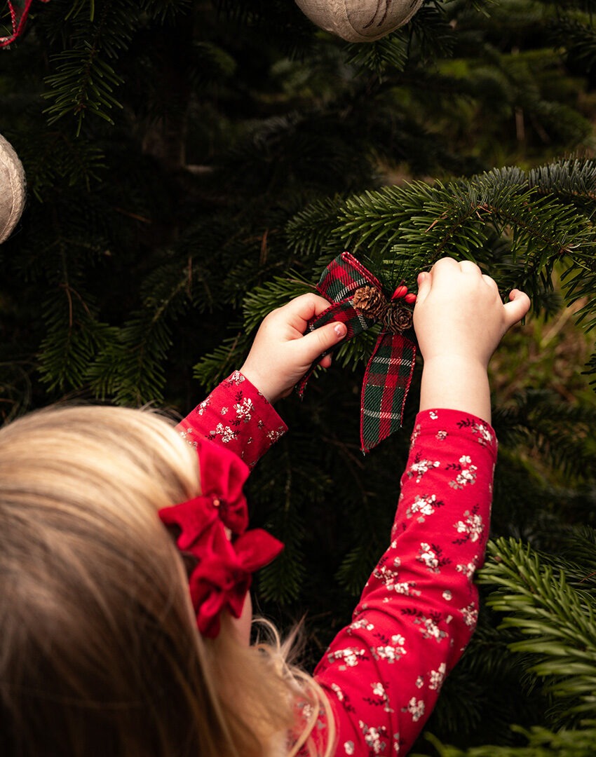Mini Session - Christmas Tree Farm