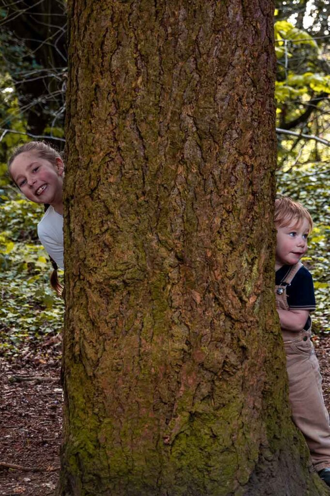 Top 5 Family Photoshoot Locations in Hampshire 5 Top5 locations family photoshoot5