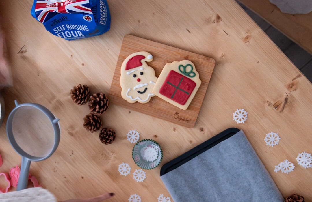 In-Home Christmas Session - Image 6